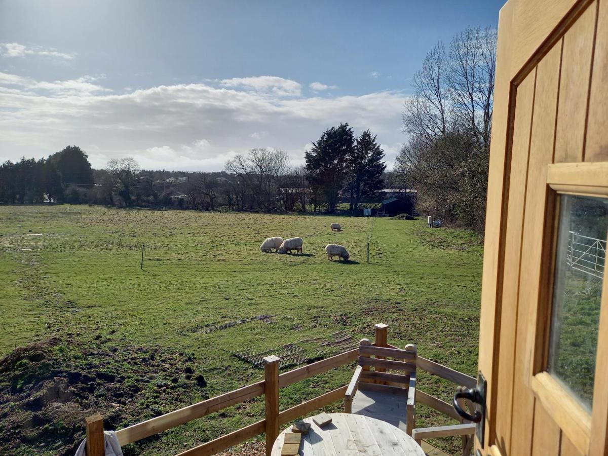 Under The Stars Shepherds Huts At Harbors Lake Villa Newchurch  Exterior photo