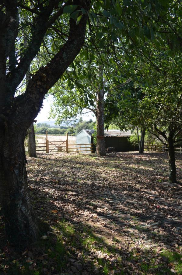 Under The Stars Shepherds Huts At Harbors Lake Villa Newchurch  Exterior photo