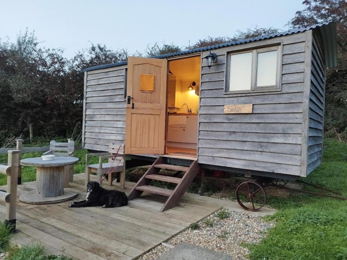 Under The Stars Shepherds Huts At Harbors Lake Villa Newchurch  Exterior photo